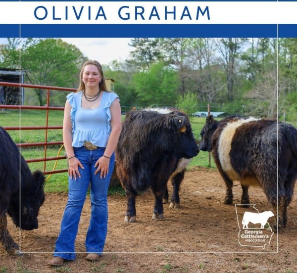 Olivia Graham 2025 Georgia Cattlemen's Assoc. Junior of the Year